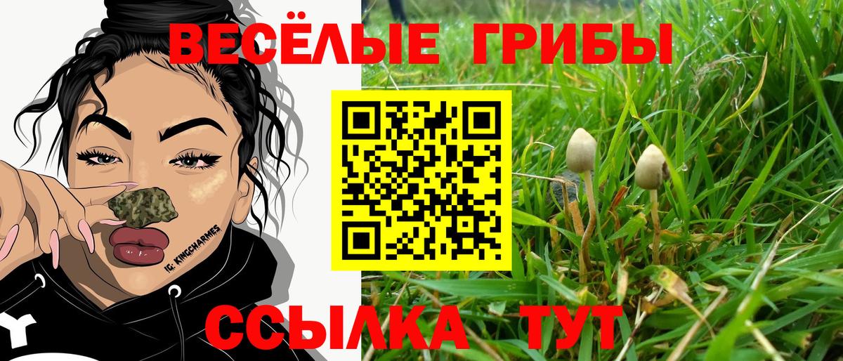 Псилоцибиновые грибы ЛСД Медногорск