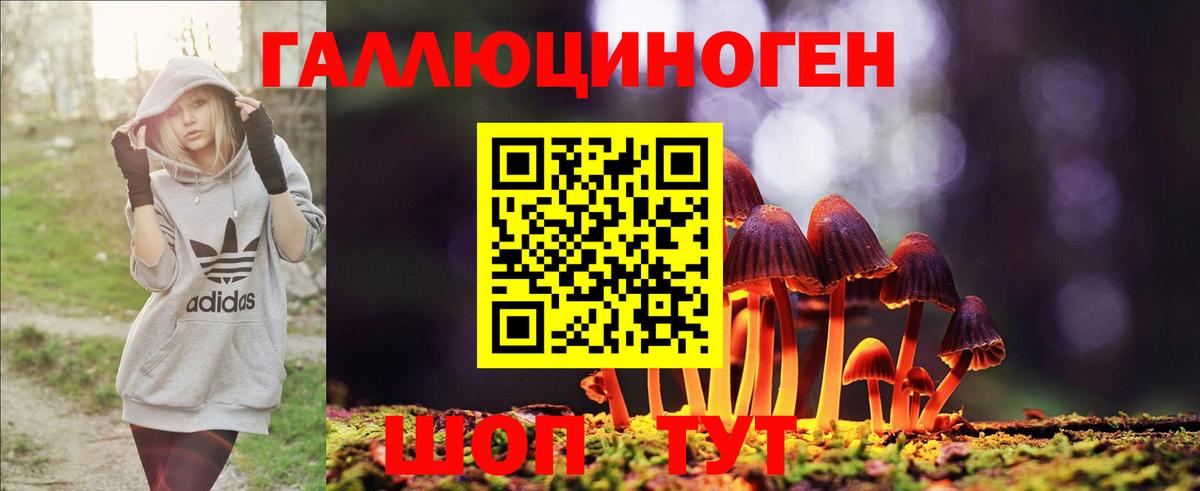 Галлюциногенные грибы Psilocybine cubensis  Галлюциногенные грибы GOLDEN TEACHER  Вход с VPN  цены   Медногорск 